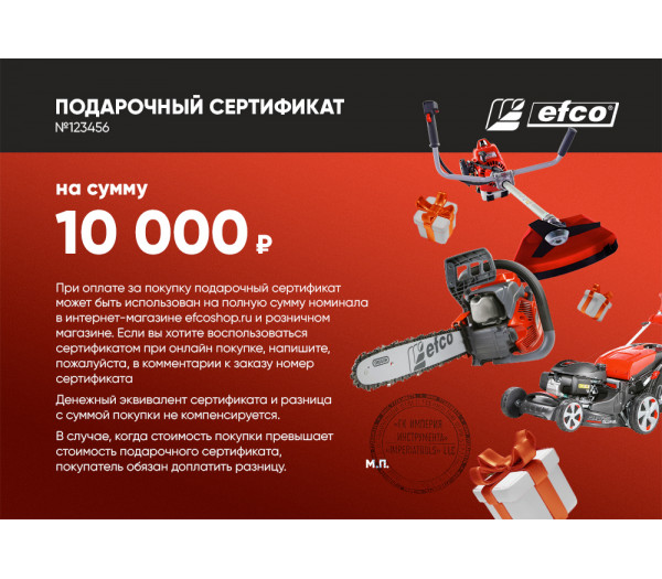 Подарочный сертификат EFCO 10000 руб.