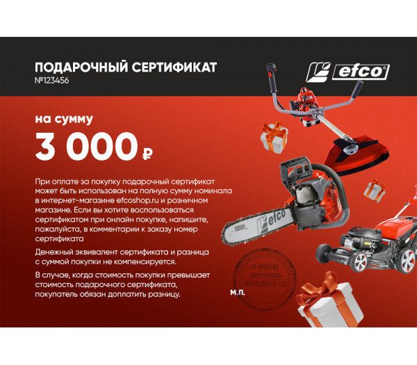 Подарочный сертификат EFCO 3000 руб.